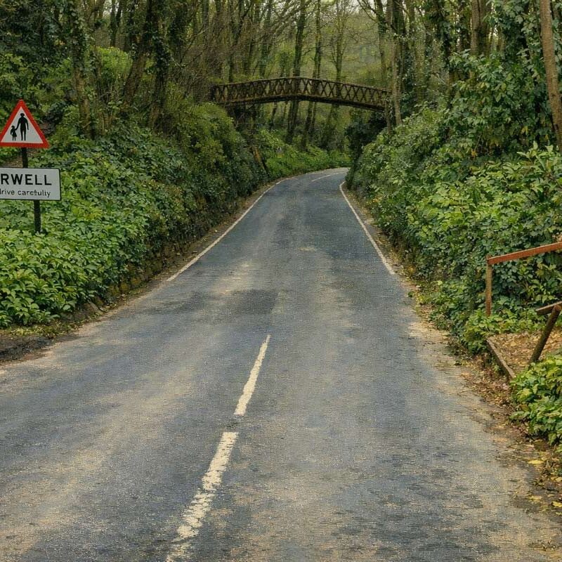The Shorewell Shute Footbridge